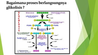 PPT RESPIRASI KEL 5 B.pptx