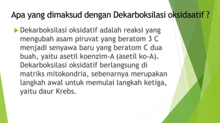  Dekarboksilasi oksidatif adalah reaksi yang
mengubah asam piruvat yang beratom 3 C
menjadi senyawa baru yang beratom C dua
buah, yaitu asetil koenzim-A (asetil ko-A).
Dekarboksilasi oksidatif berlangsung di
matriks mitokondria, sebenarnya merupakan
langkah awal untuk memulai langkah ketiga,
yaitu daur Krebs.
 