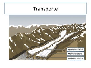 Transporte
Morrena central
Morrena lateral
Morrena frontal
 