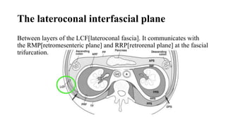 radiological anatomy of retroperitoneum powerpoint | PPTX