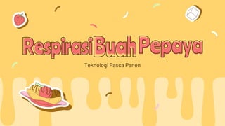 RespirasiBuahPepaya
Teknologi Pasca Panen
 