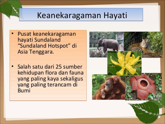 Ppt revisi hg 1