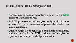  ocorre por retroação negativa, por ação da ADH
(hormona antidiurética).
 A ADH promove a reabsorção de água do filtrado
glomerular, pois aumenta a permeabilidade dos
tubos uriníferos.
Quanto maior a concentração de sais no organismo,
maior a produção de ADH, maior a reabsorção de
água, menor é a perda de água na urina.
 