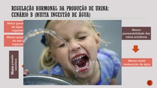 Menorpressão
osmótica
Menor produção de
ADH
Menor
permeabilidade dos
tubos uriníferos
Maior quantidade
de água no
organismo
Menor quantidade
de sais no
organismo
Menor maior
reabsorção de água
Maior produção de
urina e mais diluída
Maiorpressão
osmótica
Menor quantidade
de água no
organismo
Maior quantidade
de sais no
organismo
 