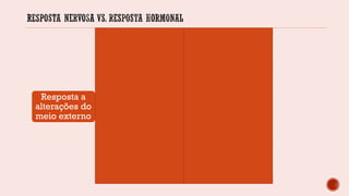 Resposta a
alterações do
meio externo
Nervosa
rápida
Curta duração
hormonal
Lenta
Longa
duração
 