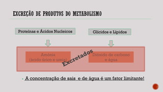 Proteínas e Ácidos Nucleicos Glícidos e Lípidos
Amónia
(ácido úrico e ureia)
Dióxido de carbono
e água
 A concentração de sais e de água é um fator limitante!
 