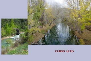 CURSO ALTO 