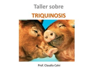 Taller sobre
TRIQUINOSIS
Prof. Claudia Calvi
 