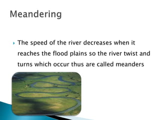  The speed of the river decreases when it 
reaches the flood plains so the river twist and 
turns which occur thus are called meanders 
 