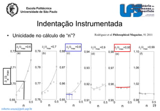 Escola Politécnica
Universidade de São Paulo

Indentação Instrumentada
• Unicidade no cálculo de “n”?

Rodríguez et al Philosophical Magazine, 91 2011

19
roberto.souza@poli.usp.br

 
