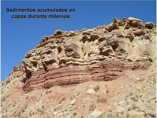 Sedimentos acumulados enSedimentos acumulados en
capas durante milenioscapas durante milenios
 