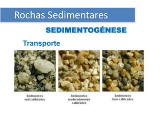 Rochas Sedimentares
       SEDIMENTOGÉNESE
 Transporte
 