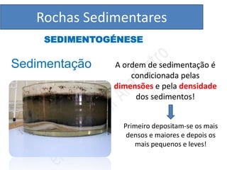 Rochas Sedimentares
    SEDIMENTOGÉNESE

Sedimentação   A ordem de sedimentação é
                   condicionada pelas
               dimensões e pela densidade
                    dos sedimentos!


                 Primeiro depositam-se os mais
                  densos e maiores e depois os
                    mais pequenos e leves!
 