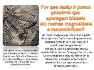 As rochas magmáticas formam-se a partir
                                       de magma em fusão – seria impossível que
                                          qualquer resto de ser vivo resistisse a
                                               semelhantes temperaturas…
                                          Por outro lado, na génese das rochas
 TRILOBITES - Crustáceos marítimos
 que dominaram a fauna do planeta      metamórficas entram “em jogo” forças – só
durante a era Paleozóica. Encontram-     raramente (e se o metamorfismo for de
se em Canelas (Arouca) algumas das         baixo grau) os fósseis se conseguem
  maiores, mais raras e até únicas         preservar intactos após submissão a
        espécies no mundo!
                                                   tamanhas pressões…
 