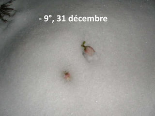 - 9°, 31 décembre
 