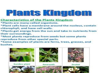 Ppt roshna corrected