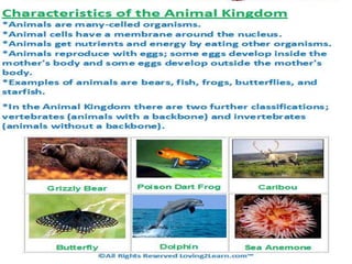 Ppt roshna corrected