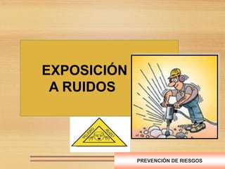 EXPOSICIÓN
A RUIDOS
PREVENCIÓN DE RIESGOS
 