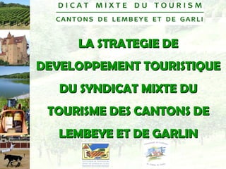 LA STRATEGIE DE DEVELOPPEMENT TOURISTIQUE DU SYNDICAT MIXTE DU TOURISME DES CANTONS DE LEMBEYE ET DE GARLIN 