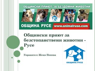 Общински приют за
безстопанствени животни -
Русе

Управител: Жени Попова
 