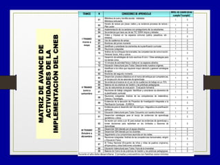 MATRIZDEAVANCEDE
ACTIVIDADESDELA
IMPLEMENTACIÓNDELCNEB
 