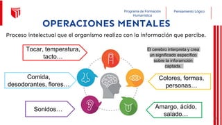 Pensamiento Lógico
Programa de Formación
Humanística
OPERACIONES MENTALES
Proceso intelectual que el organismo realiza con la información que percibe.
Tocar, temperatura,
tacto…
Comida,
desodorantes, flores…
Sonidos…
Colores, formas,
personas…
Amargo, ácido,
salado…
El cerebro interpreta y crea
un significado específico
sobre la inforamción
captada.
28
 