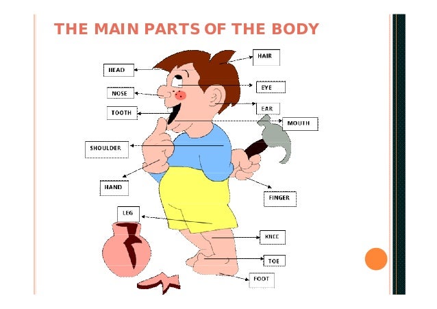 Ppt s1u1 body Ppt s1u1 body