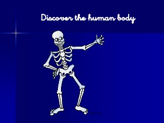 Discover the human body
 