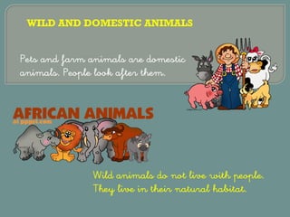 Pets and farm animals are domestic
animals. People look after them.
Wild animals do not live with people.
They live in their natural habitat.
WILD AND DOMESTIC ANIMALS
 