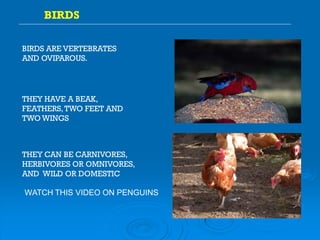 Ppt s2u6 different animals | PPT | Free Download