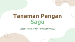 Tanaman Pangan
Sagu
Lestari Nurul Afifah (1905106010033)
 