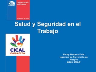 Salud y Seguridad en el
Trabajo
Nataly Martínez Vidal
Ingeniero en Prevención de
Riesgos
ARAU 0660/P
 
