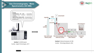 PPT sambiloto bulan juni -Anisa NF.PPT sambiloto | PPTX
