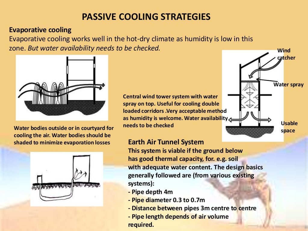 Vegetation in hot and dry climate picture