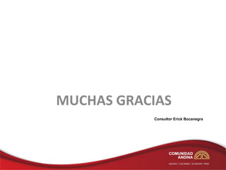 MUCHAS GRACIAS
           Consultor Erick Bocanegra
 