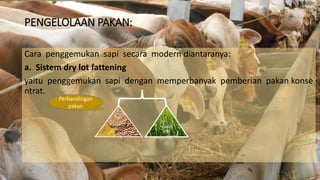 Bisnis Sapi Online: Peluang Menggembala Kekayaan di Era Digital