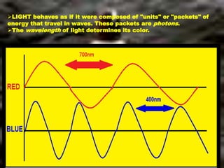 LIGHT behaves as if it were composed of "units" or "packets" of
energy that travel in waves. These packets are photons.
The wavelength of light determines its color.
 