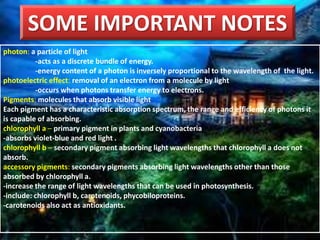 SOME IMPORTANT NOTES
photon: a particle of light
-acts as a discrete bundle of energy.
-energy content of a photon is inversely proportional to the wavelength of the light.
photoelectric effect: removal of an electron from a molecule by light
-occurs when photons transfer energy to electrons.
Pigments: molecules that absorb visible light
Each pigment has a characteristic absorption spectrum, the range and efficiency of photons it
is capable of absorbing.
chlorophyll a – primary pigment in plants and cyanobacteria
-absorbs violet-blue and red light .
chlorophyll b – secondary pigment absorbing light wavelengths that chlorophyll a does not
absorb.
accessory pigments: secondary pigments absorbing light wavelengths other than those
absorbed by chlorophyll a.
-increase the range of light wavelengths that can be used in photosynthesis.
-include: chlorophyll b, carotenoids, phycobiloproteins.
-carotenoids also act as antioxidants.
 