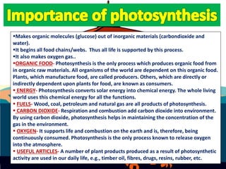 Makes organic molecules (glucose) out of inorganic materials (carbondioxide and
water).
It begins all food chains/webs. Thus all life is supported by this process.
It also makes oxygen gas..
ORGANIC FOOD- Photosynthesis is the only process which produces organic food from
in organic raw materials. All organisms of the world are dependent on this organic food.
Plants, which manufacture food, are called producers. Others, which are directly or
indirectly dependent upon plants for food, are known as consumers.
 ENERGY- Photosynthesis converts solar energy into chemical energy. The whole living
world uses this chemical energy for all the functions.
 FUELS- Wood, coal, petroleum and natural gas are all products of photosynthesis.
 CARBON DIOXIDE- Respiration and combustion add carbon dioxide into environment.
By using carbon dioxide, photosynthesis helps in maintaining the concentration of the
gas in the environment.
 OXYGEN- It supports life and combustion on the earth and is, therefore, being
continuously consumed. Photosynthesis is the only process known to release oxygen
into the atmosphere.
 USEFUL ARTICLES- A number of plant products produced as a result of photosynthetic
activity are used in our daily life, e.g., timber oil, fibres, drugs, resins, rubber, etc.
 