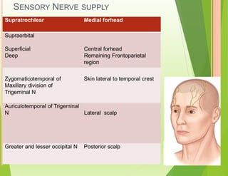 SENSORY NERVE SUPPLY
Supratrochlear Medial forhead
Supraorbital
Superficial Central forhead
Deep Remaining Frontoparietal
region
Zygomaticotemporal of Skin lateral to temporal crest
Maxillary division of
Trigeminal N
Auriculotemporal of Trigeminal
N Lateral scalp
Greater and lesser occipital N Posterior scalp
 