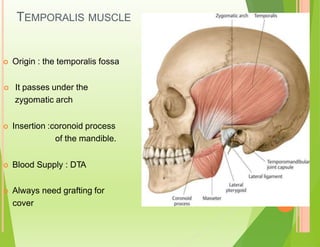 TEMPORALIS MUSCLE
 Origin : the temporalis fossa
 It passes under the
zygomatic arch
 Insertion :coronoid process
of the mandible.
 Blood Supply : DTA
 Always need grafting for
cover
 
