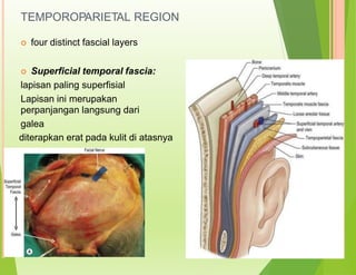 TEMPOROPARIETAL REGION
 four distinct fascial layers
 Superficial temporal fascia:
lapisan paling superfisial
Lapisan ini merupakan
perpanjangan langsung dari
galea
diterapkan erat pada kulit di atasnya
 