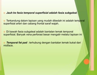  Jauh ke fasia temporal superfisial adalah fasia subgaleal.
 Terkandung dalam lapisan yang mudah dibedah ini adalah temporal
superfisial arteri dan cabang frontal saraf wajah.
 Di bawah fasia subgaleal adalah bantalan lemak temporal
superfisial. Banyak vena perforasi besar mengalir melalui lapisan ini
 Temporal fat pad : terhubung dengan bantalan lemak bukal dari
midface.
 