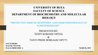 UNIVERSITY OF BUEA
FACULTY OF SCIENCE
DEPARTMENT OF BIOCHEMISTRY AND MOLECULAR
BIOLOGY
“PROTECTIVE IMMUNE RESPONSES AND IMMUNOPATHOLOGY OF
SCHISTOSOMIASIS’’
PRESENTED BY:
TESSY KOKO(SC18P224)
&
TANYI PRIDE BOBGA(SC18P277)
LECTURERS:
Prof P.K TITANJI
Prof ACHIDI ERIC A MARCH, 2019
1
 