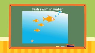 Fish swim in water
 