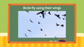 Birds fly using their wings
 