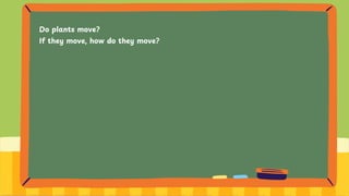 Do plants move?
If they move, how do they move?
 