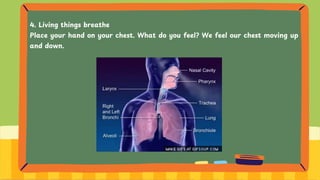 4. Living things breathe
Place your hand on your chest. What do you feel? We feel our chest moving up
and down.
 