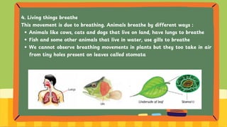 4. Living things breathe
This movement is due to breathing. Animals breathe by different ways :
Animals like cows, cats and dogs that live on land, have lungs to breathe
Fish and some other animals that live in water, use gills to breathe
We cannot observe breathing movements in plants but they too take in air
from tiny holes present on leaves called stomata
 