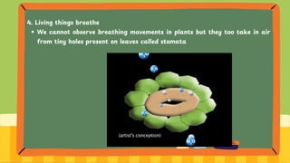 4. Living things breathe
We cannot observe breathing movements in plants but they too take in air
from tiny holes present on leaves called stomata
 